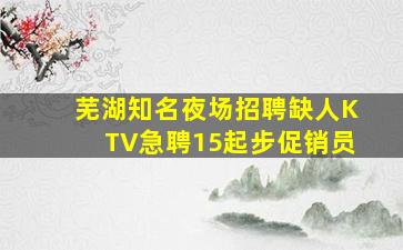 芜湖知名夜场招聘缺人KTV急聘15起步促销员